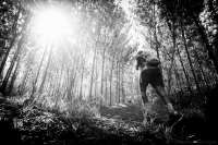 Kilimanjaro Stage Run: Mountain Of Greatness