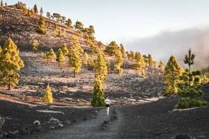 Το Transvulcania αποχώρησε από το UTMB® World Series!