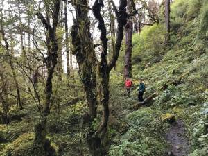 Αναβολή των αγώνων ορεινού τρεξίματος "ΚΕΝΤΑΥΡΟΣ 2023"