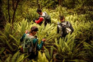 A MAGNIficent Return: New Zealand’s Premier Expedition Race Gears Up for a Global Showdown!