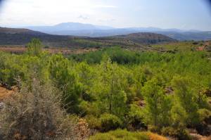 Η αστική μη κερδοσκοπική εταιρία «ΔΙΑΔΡΟΜΕΣ ΙΔΑΙΑΣ – IDEAN ROUTES» , προκηρύσσει το 2ο “Κέρη Cross Country Race” στις 18 Δεκεμβρίου 2022!