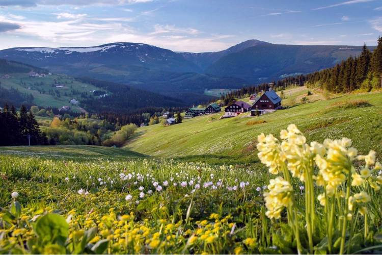 WORLD MASTERS MOUNTAIN RUNNING CHAMPIONSHIPS 2026 SET FOR JANSKÉ LÁZNĚ!