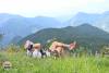 Evrytania Trail Races: Ένα φεστιβάλ αγώνων στην ανόθευτη πλευρά της Ευρυτανίας!
