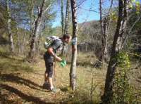 ROUT 2013: Raw, Pure and Basic