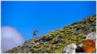 ARISTARCHOS SKYRACE 2016: Ένας ατόφιος αγώνας skyrace!