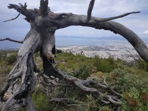 Την Κυριακή 9 Απριλίου 2023 ο 7ος ΕΥΚΛΕΙΟΣ αγώνας βουνού με δυο διαδρομές!