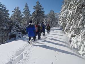 Ένα απίστευτο πρωινό Σαββάτου...*