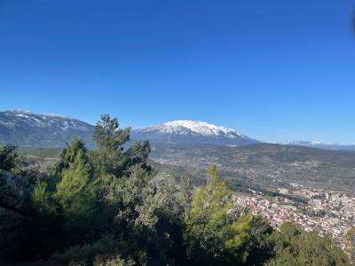 Λέβαδος Mountain Trail 2025: Η Ολισθηρή Επιθυμία!