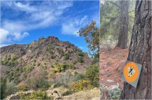 Το Γίδι των Μεθάνων, της ψυχής το Υπερβάλλον!