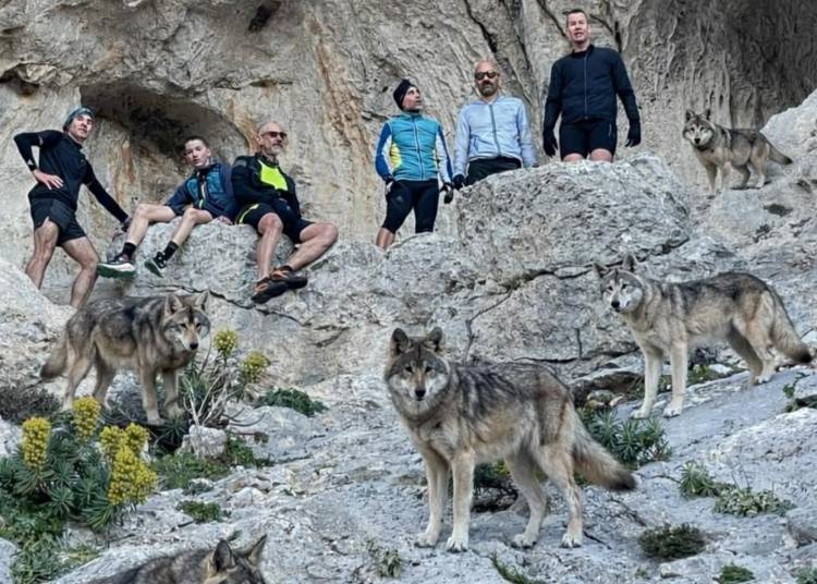Η “τρολιά” που άναψε φωτιές – σκέψεις πάνω στον αλγόριθμο, εμάς και το outdoor!
