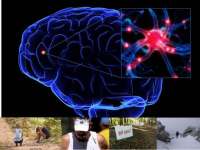 Ο Εγκέφαλος "Κεντρικός Κυβερνήτης" στις Υπεραποστάσεις!