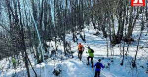 Ανανεωμένος Ρογκάς &amp; Χιονιάς (νέος αγώνας) τον Ιανουάριο στον Όλυμπο!