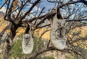 Photo copyright: Haryad Art &amp; unsplash.com