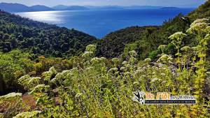 Το 3ο "Γίδι των Μεθάνων" στις 15 και 16 Νοεμβρίου 2025!