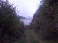 VFUT 2015: Η Μάχη της Επιβίωσης!